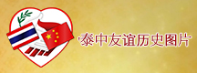Banner index top 5 cn