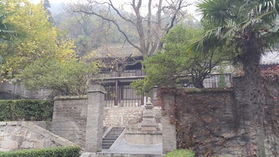 zkk195