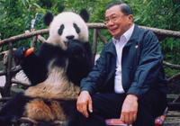 panda01_s